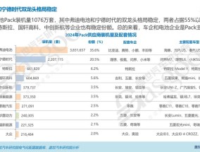 双龙头格局稳定，车企自研Pack趋势显著