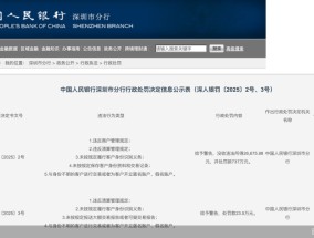 罚单金额远高于其违法所得，盛迪嘉支付百万罚单释放什么信号？