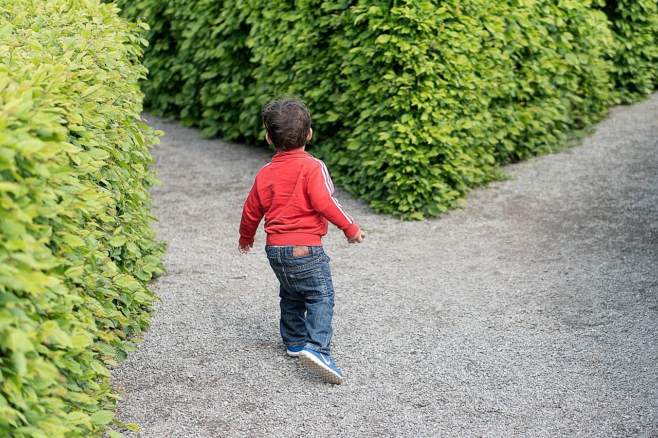 你好种地少年2定档，十个勤天团综来袭！