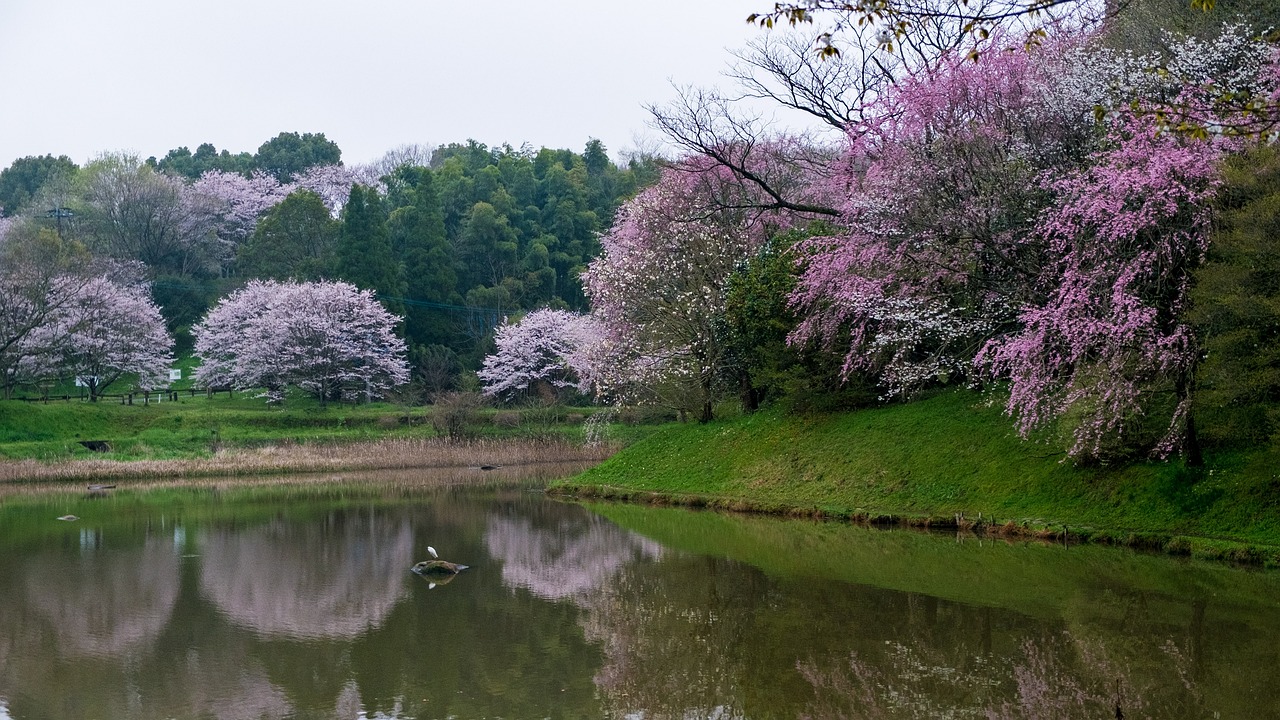 记忆中的故乡，一方水土，一份深情