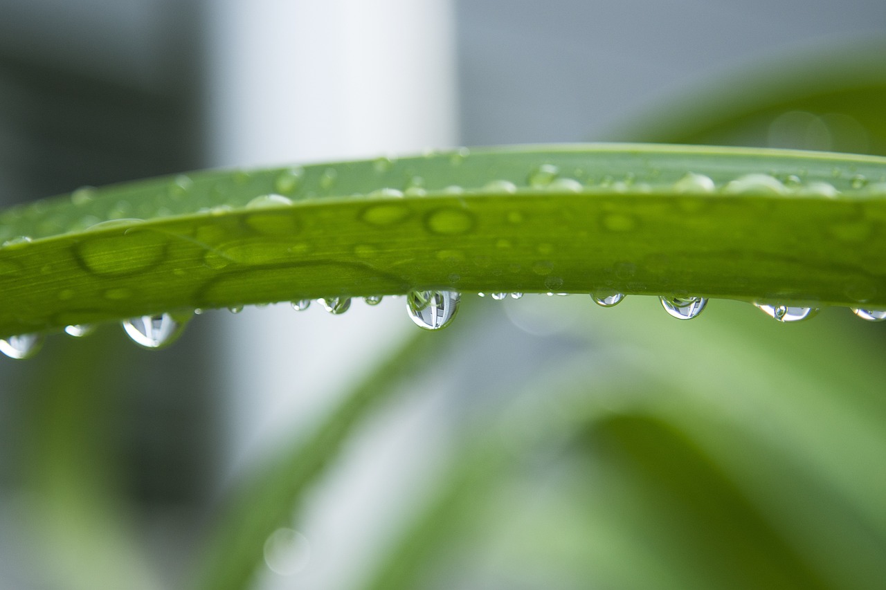 滴水成河，珍惜每一滴——解读珍惜水资源，从我做起的宣传语