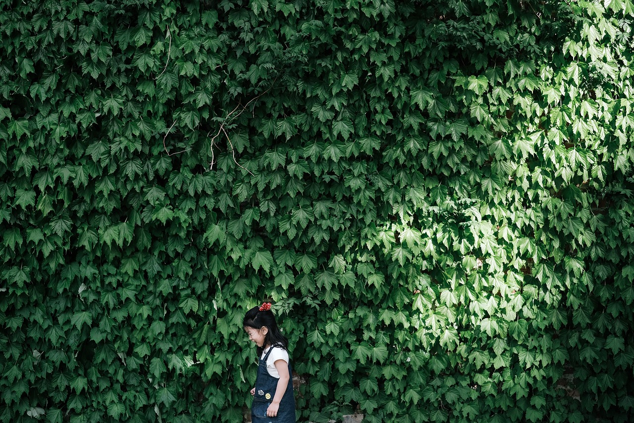 破土而出的智慧，探索萌芽阅读答案背后的教育革命