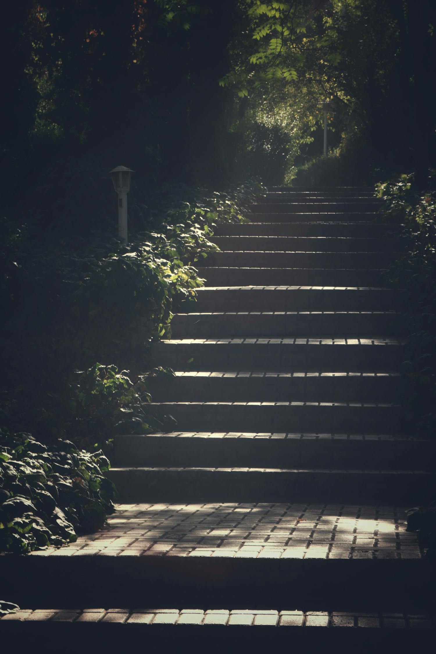 夜雨寄北，诗意的绵绵思归路