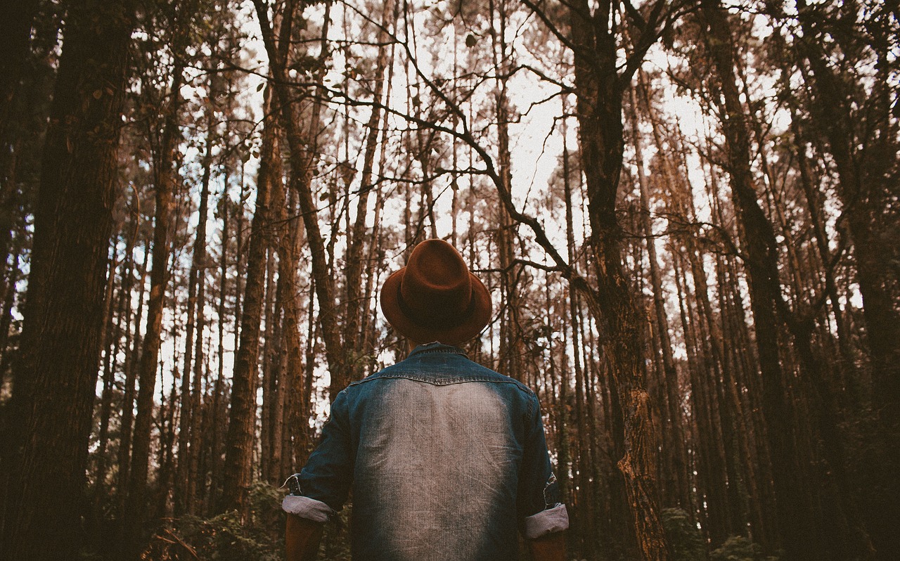 禅意人生，延参法师的智慧语录——深悟生活中的静与动