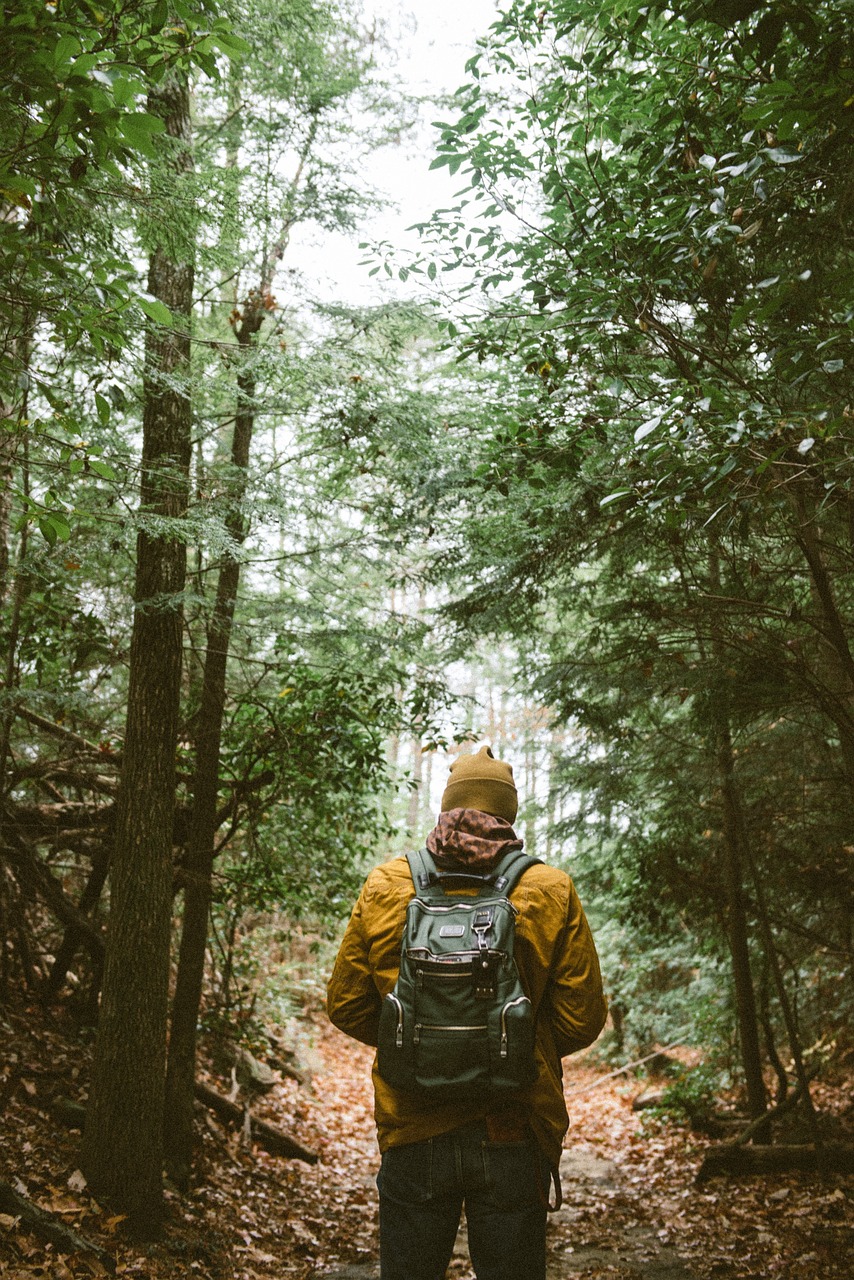 探索微观世界，四年级学生的植物观察之旅